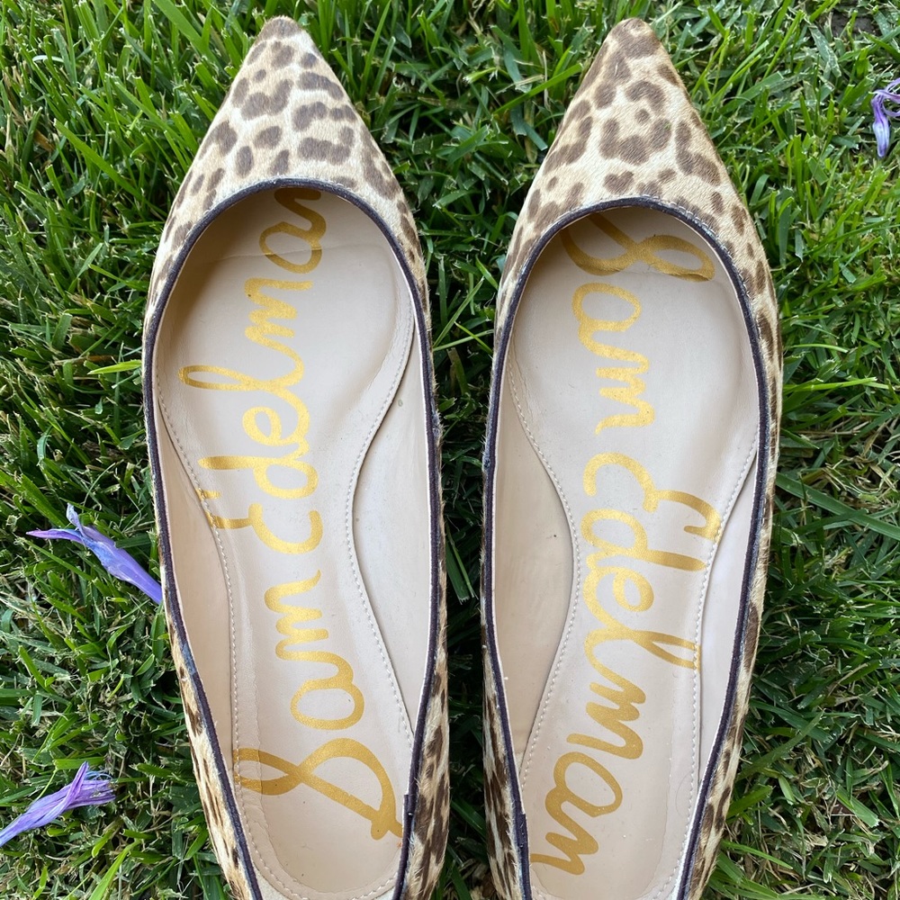 Sam Edelman Sally Pointed Toe Flats